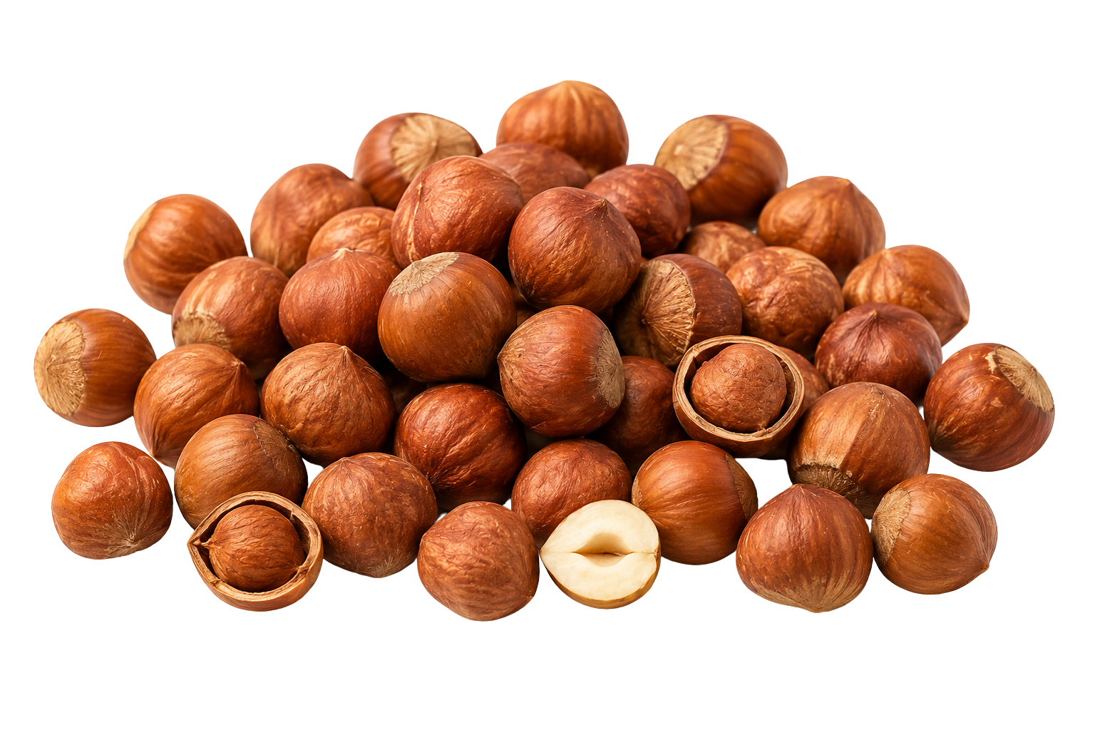 Hazelnuts
